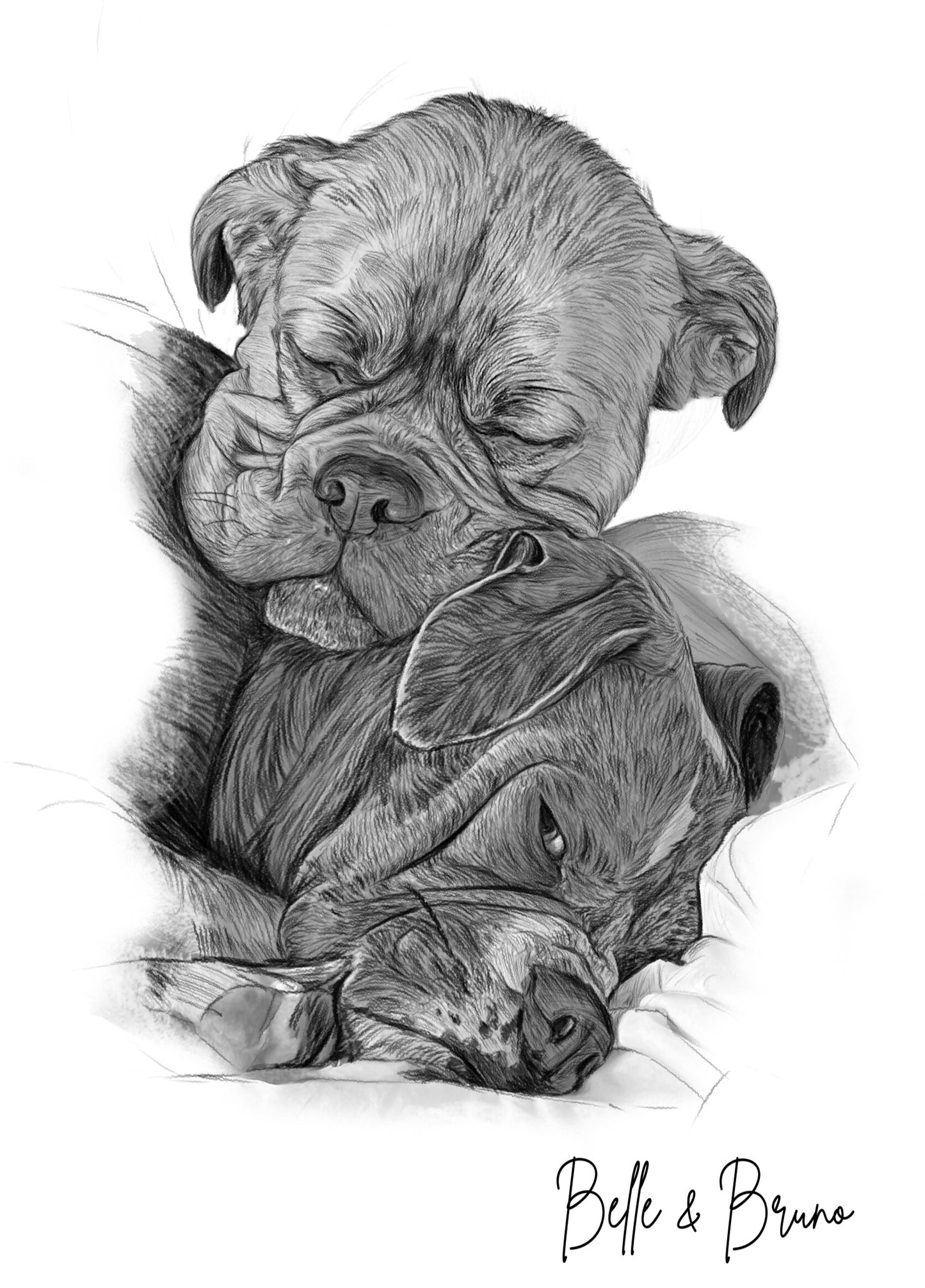 Sketch Style Pet Portrait on Canvas | Black & White Pencil Style Drawing | Personalised Dog Sketch