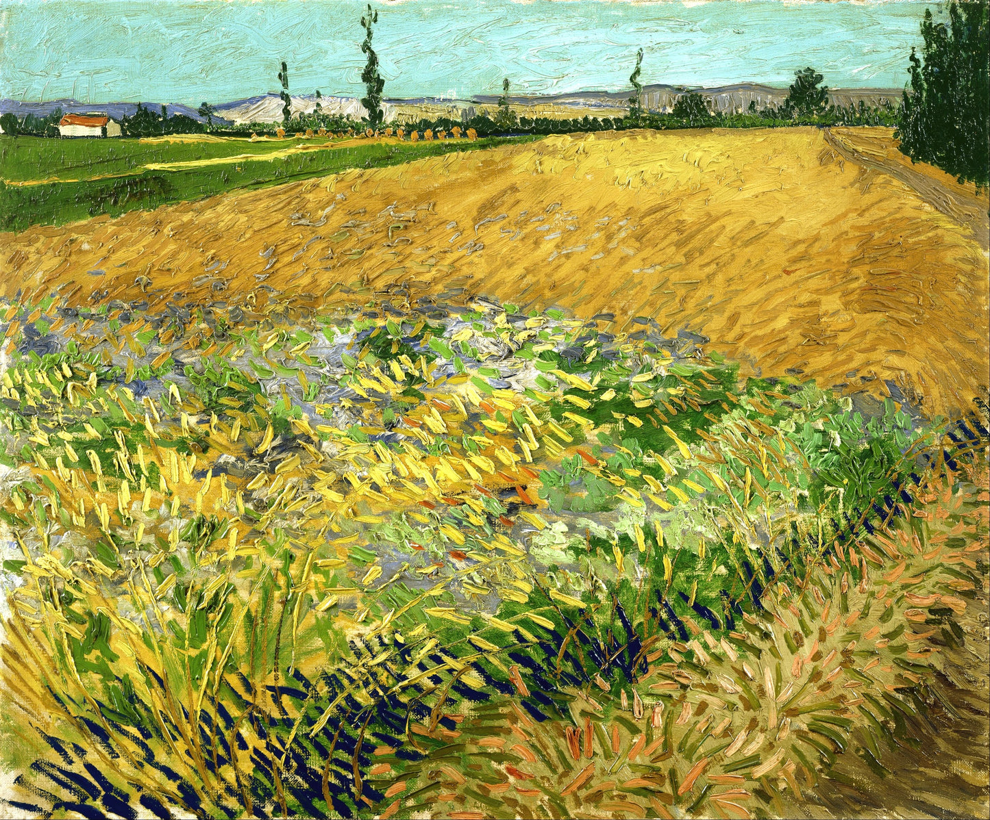 Van Gogh’s “Wheatfield with Wildflowers” – Captivating Countryside Canvas Art
