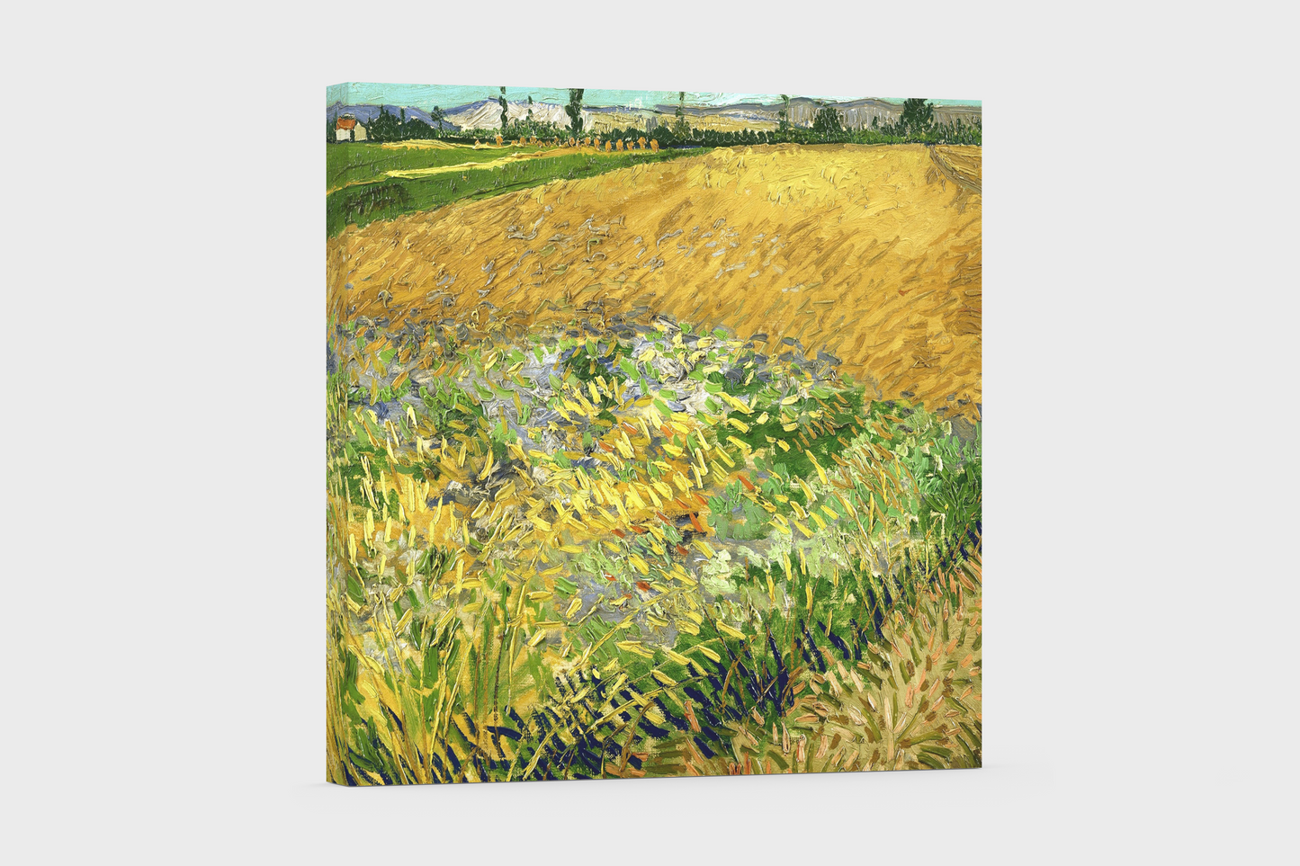 Van Gogh’s “Wheatfield with Wildflowers” – Captivating Countryside Canvas Art