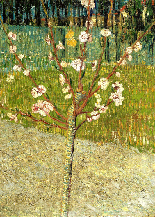 Vincent van Gogh’s "Blossoming Almond Tree" – Art Print on Canvas and Paper