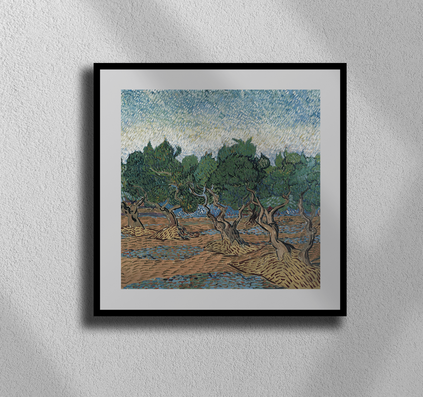 Vincent van Gogh’s “Olive Trees” – Premium Canvas Art Print