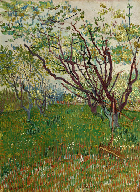 Vincent van Gogh's "Orchard in Blossom" – Framed and Canvas Art Print