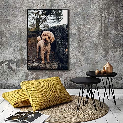 Custom Canvas Prints with Your Photos for Pet/Animal, Personalised Pictures to Canvas for Wall Framed