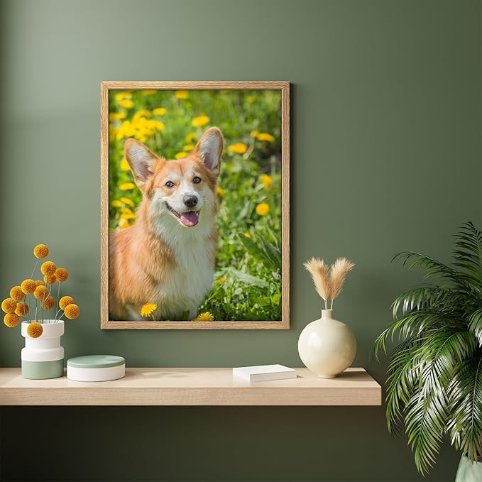 Custom Canvas Prints with Your Photos for Pet/Animal, Personalised Pictures to Canvas for Wall Framed