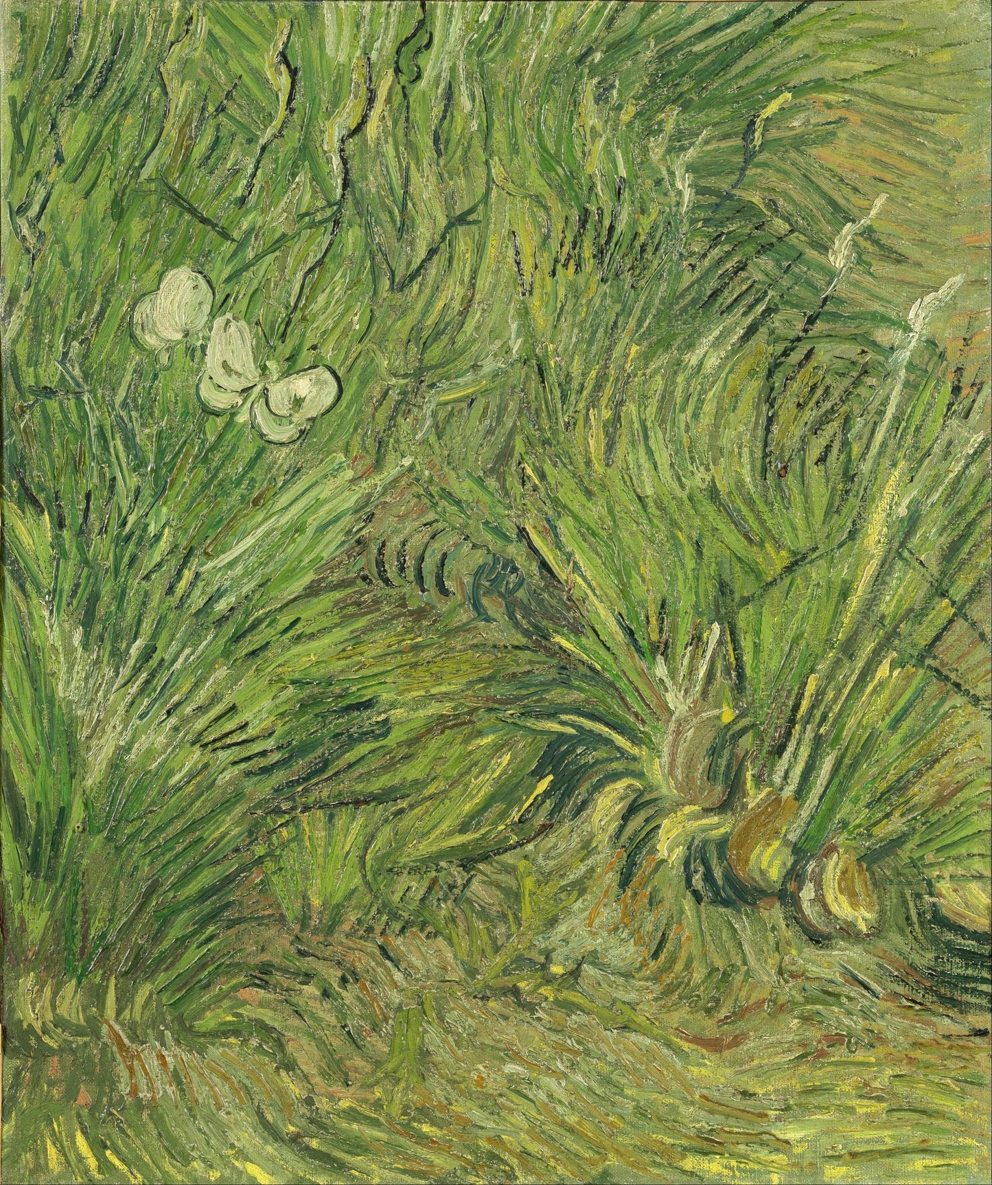Vincent van Gogh’s “Grass and Butterflies” – Premium Canvas Art Print