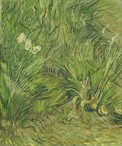Vincent van Gogh’s “Grass and Butterflies” – Premium Canvas Art Print