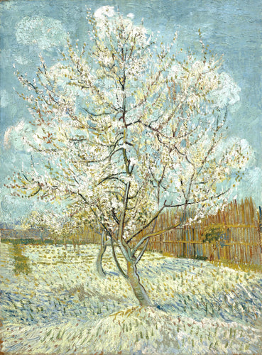 Vincent van Gogh’s 