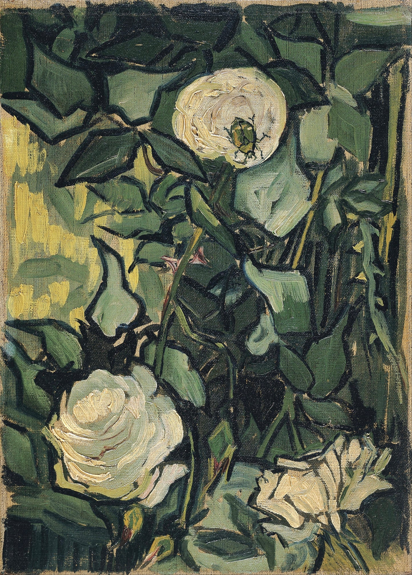 Vincent van Gogh’s “White Roses” – Premium Canvas Art Print