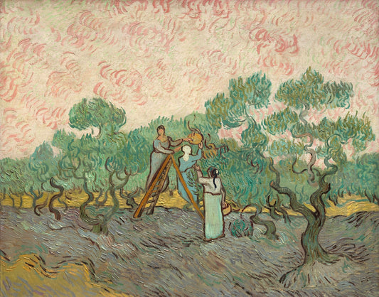 Vincent van Gogh’s "Women Picking Olives" – Expressive Canvas Masterpiece