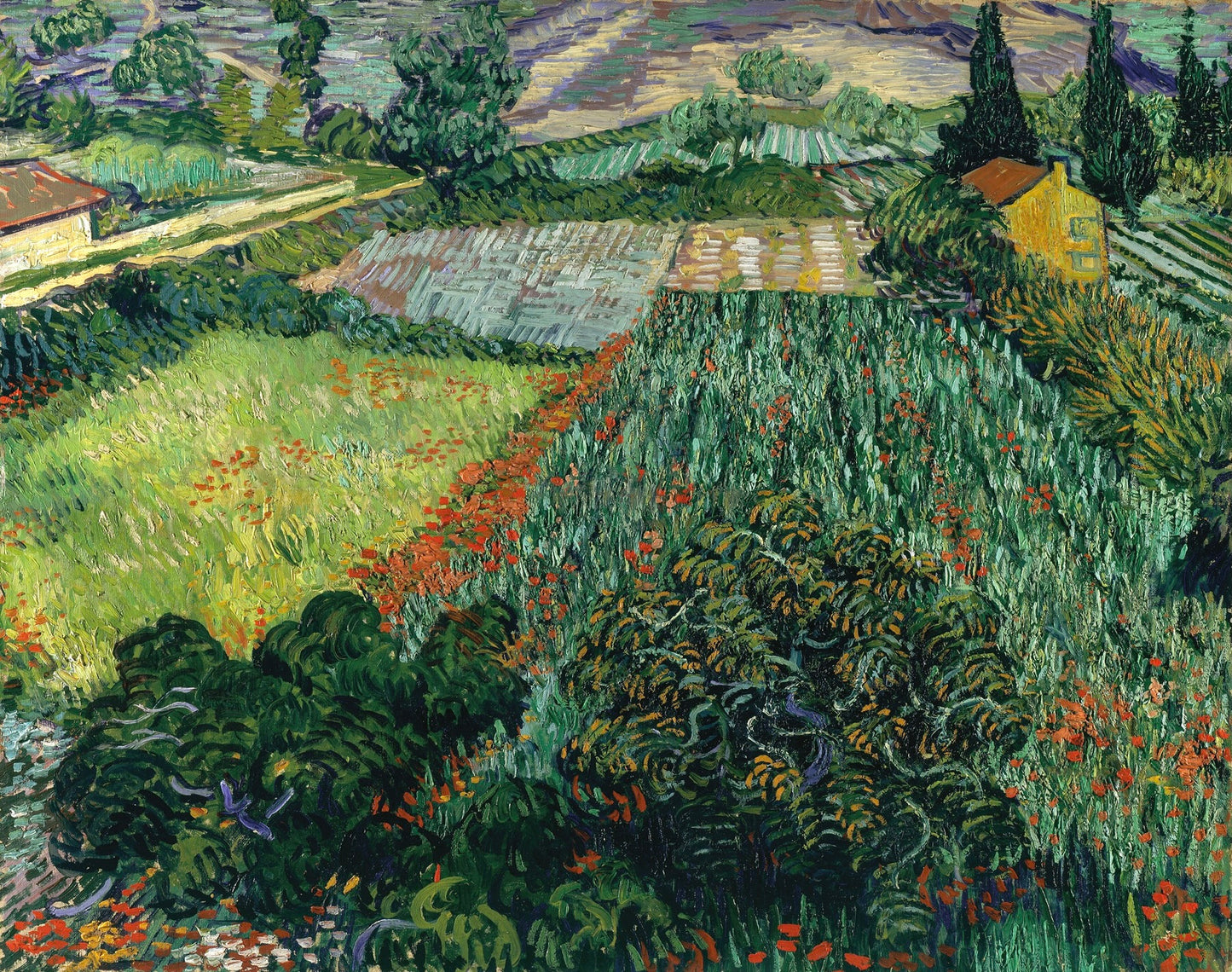 Vincent van Gogh’s “Garden with Flowers” – Lush and Vibrant Canvas Art