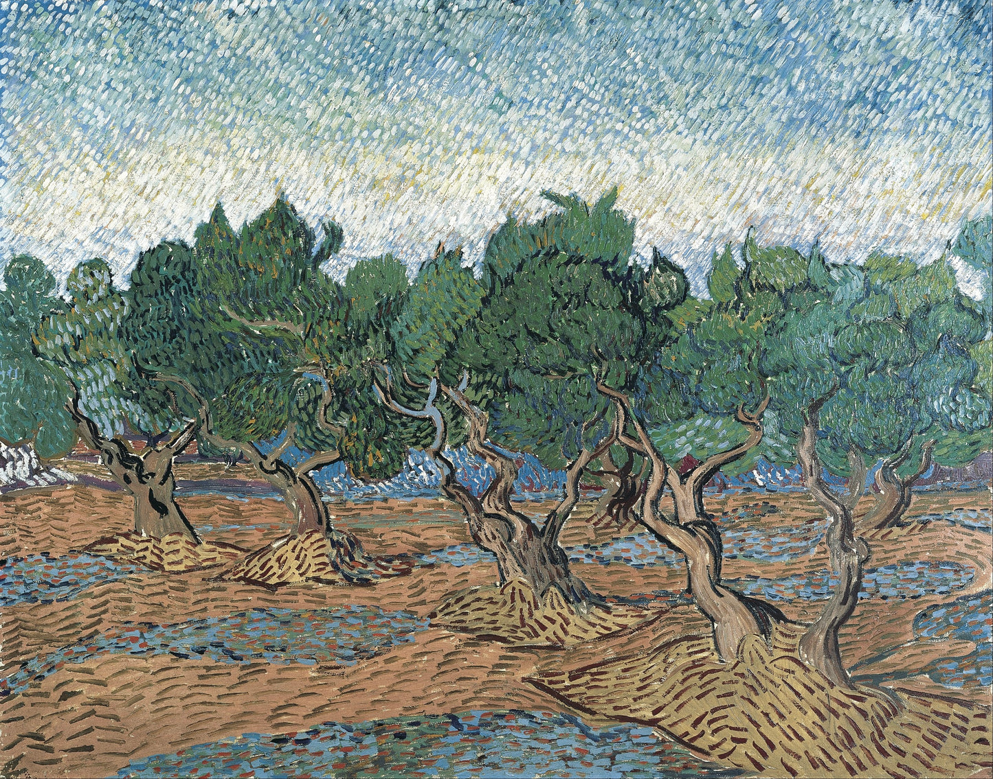Vincent van Gogh’s “Olive Trees” – Premium Canvas Art Print
