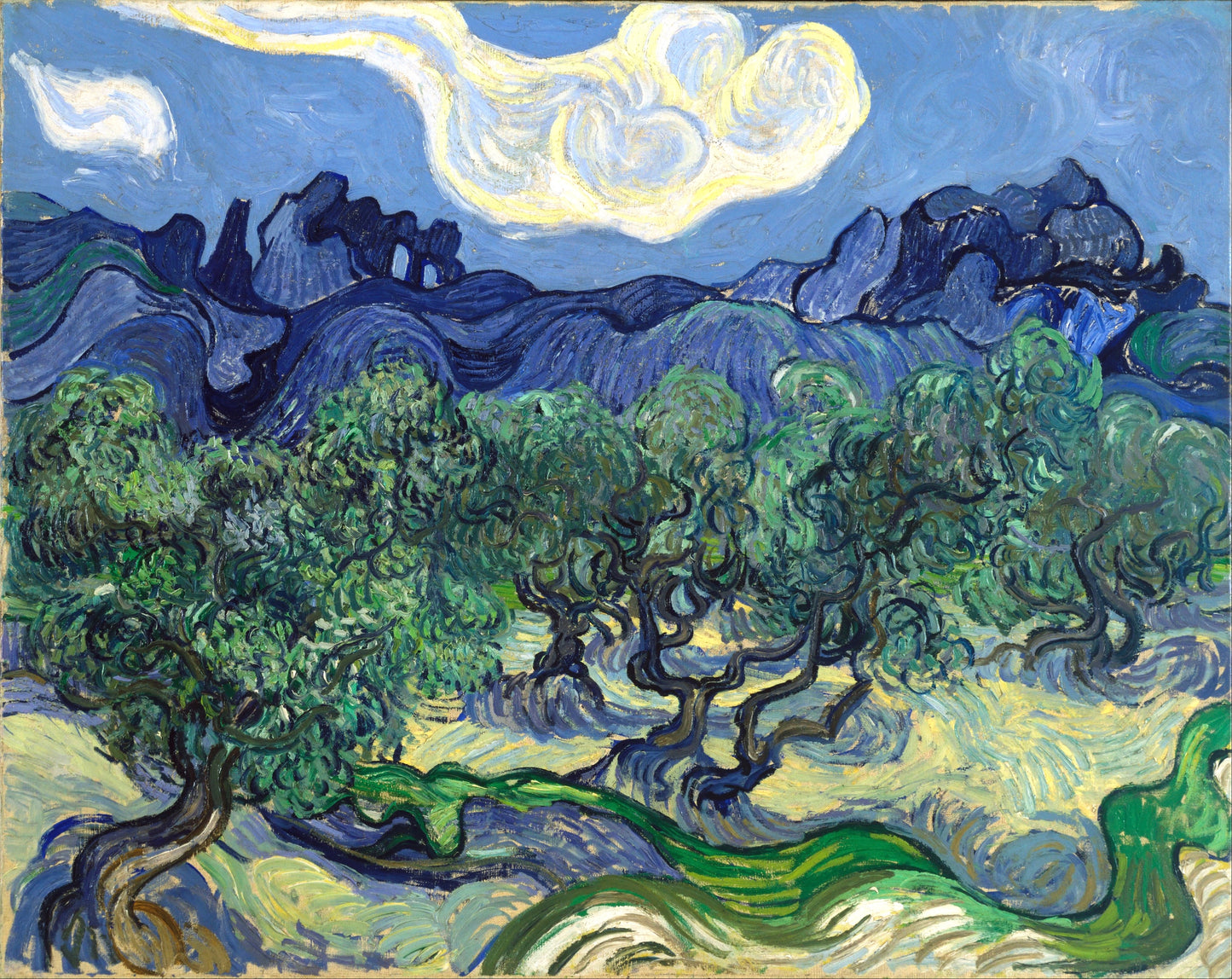Vincent van Gogh’s "The Olive Trees" – Canvas Art Print