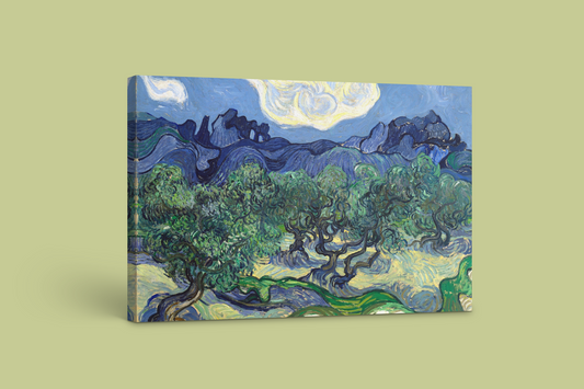 Vincent van Gogh’s "The Olive Trees" – Canvas Art Print