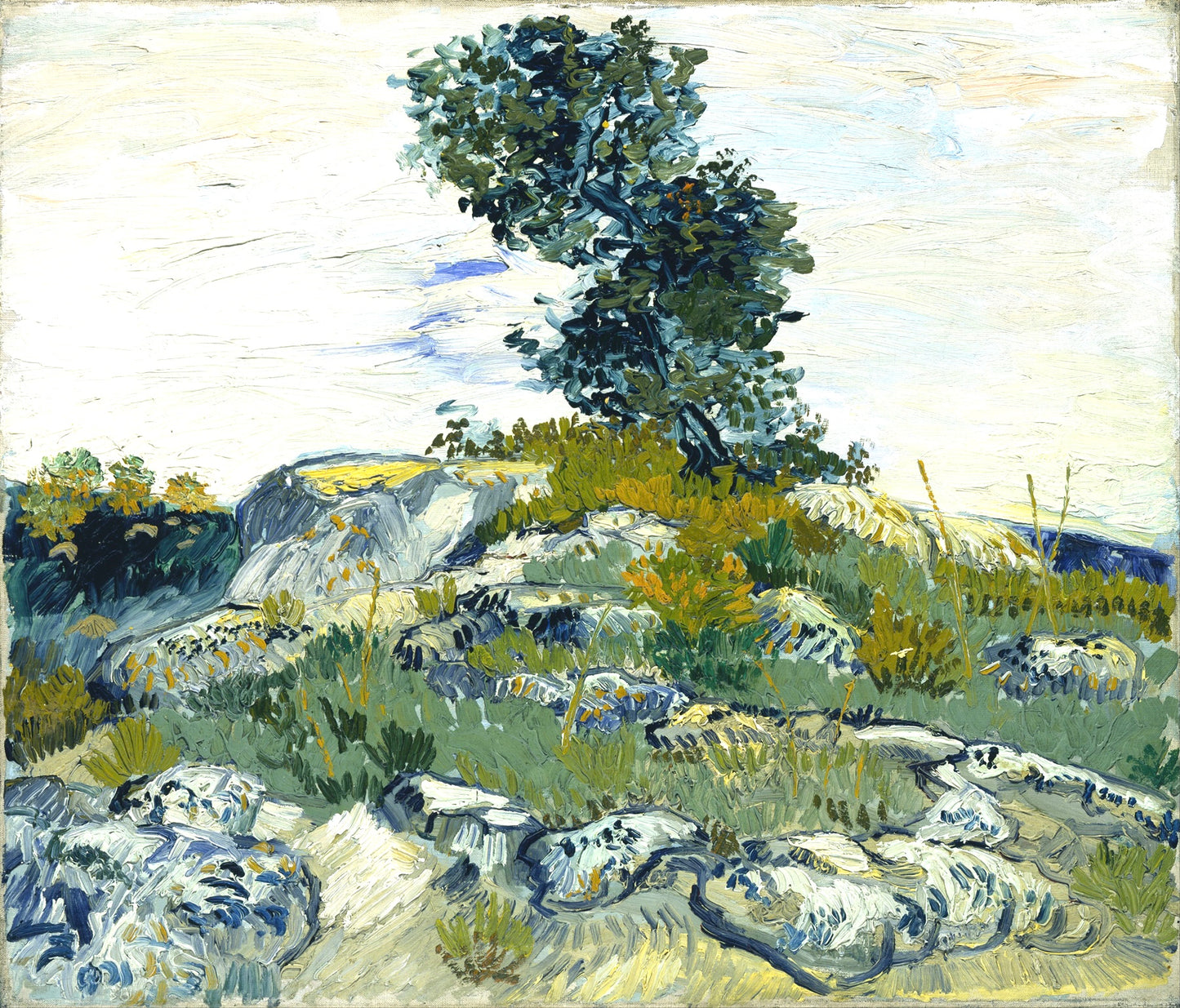 Vincent van Gogh’s “Tree on Rocky Landscape” – Masterpiece on Canvas