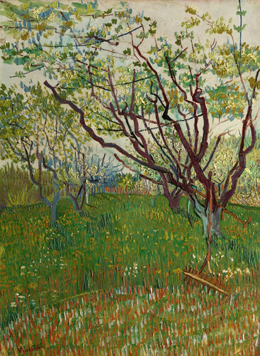 Vincent van Gogh's 