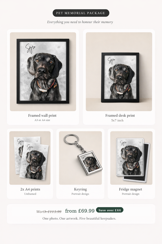 Pet Memorial Package | Watercolour Portrait Keepsake Collection | Custom Pet Gift